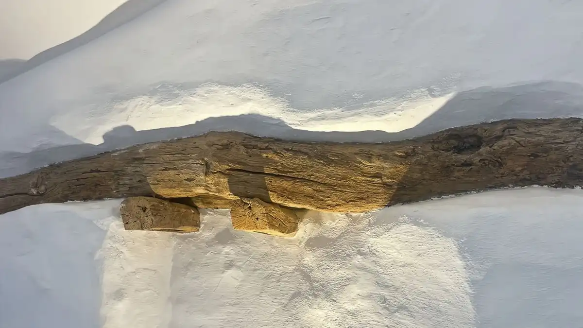 Casa rústica amb piscina en venda a Casabermeja, imagen 19