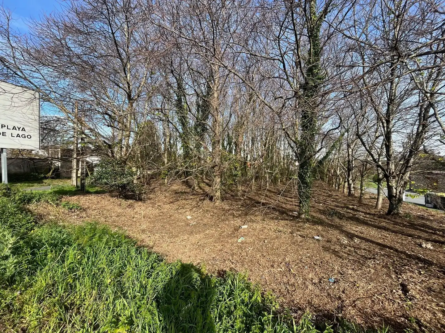 Rural land for sale in AC-116 16, imagen 5