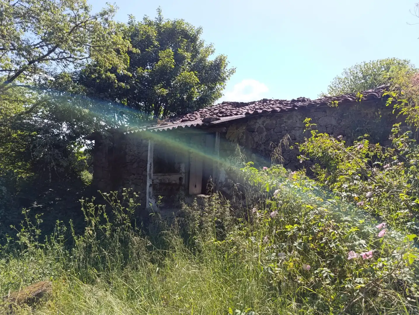Maison rustique à vendre à Rúa Camiño Real 36, imagen 4