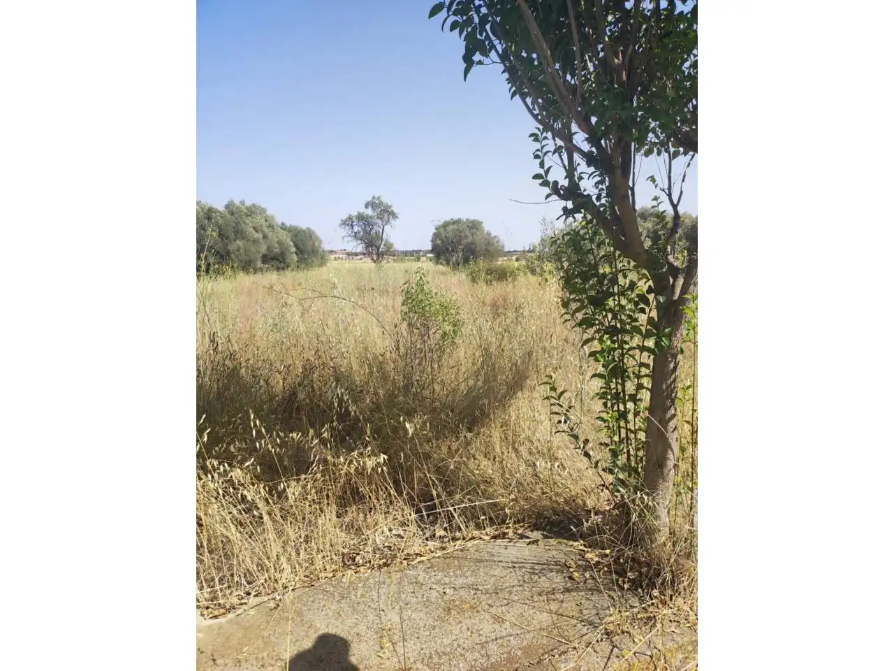 Terreno industrial en venta en Fonz
