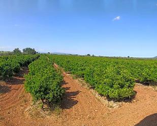 Finca rústica en venda en La Galera  amb Jardí privat