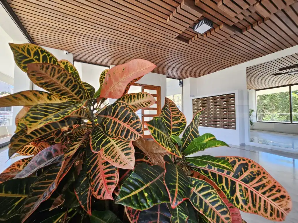 Estudio de alquiler en Puerto Marina