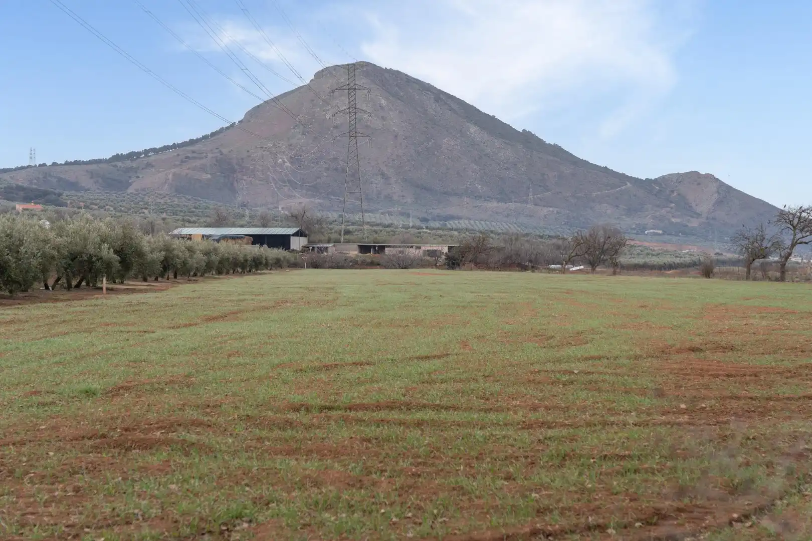 Terrenys i solars en venda a Polígono 23 Parcela 63 LA ZANJA. ALBOLOTE (GRANAD 23, imagen 12