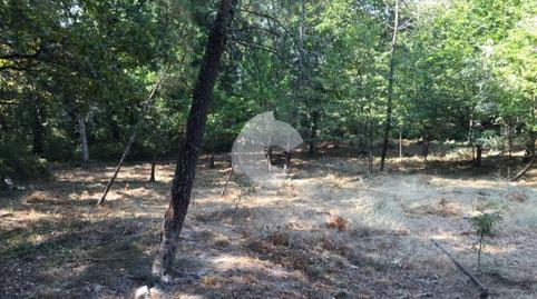 Photo 3 of Industrial buildings for sale in Entrimo, Ourense