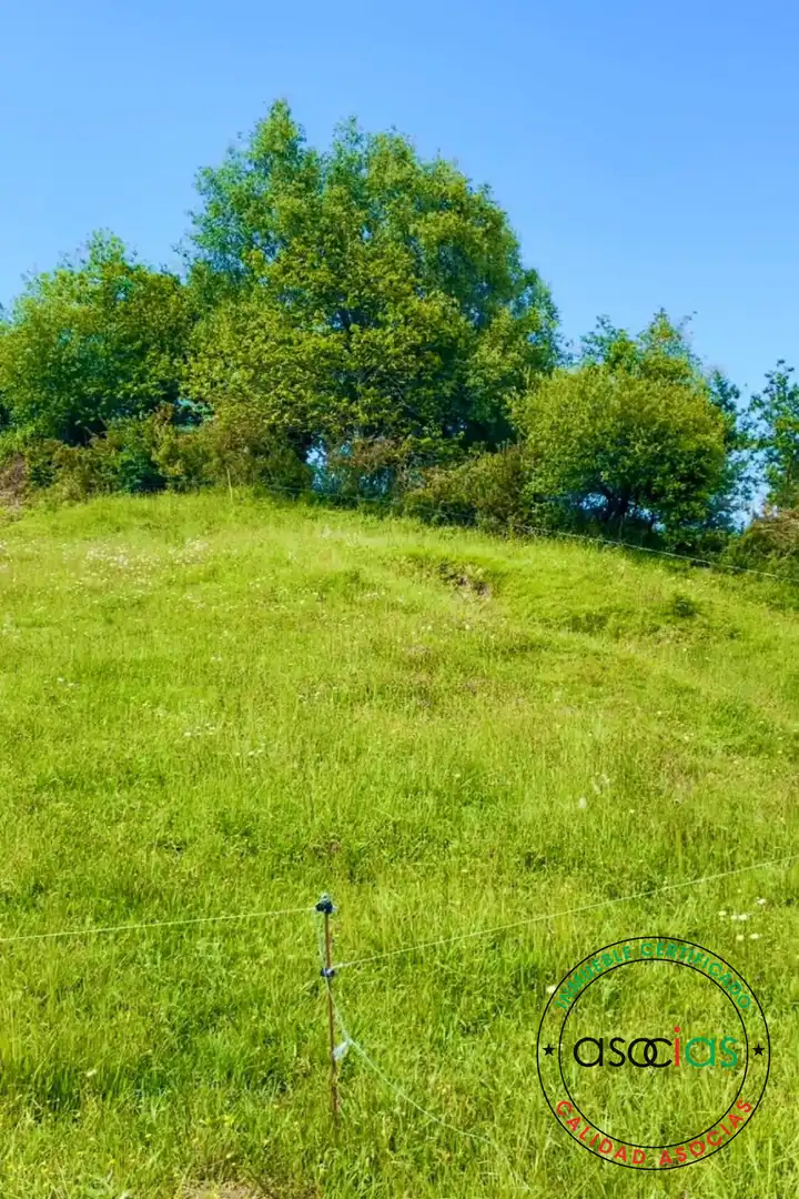 Rustikales Grundstück zum Verkauf in Ribadesella - sardalla, imagen 6
