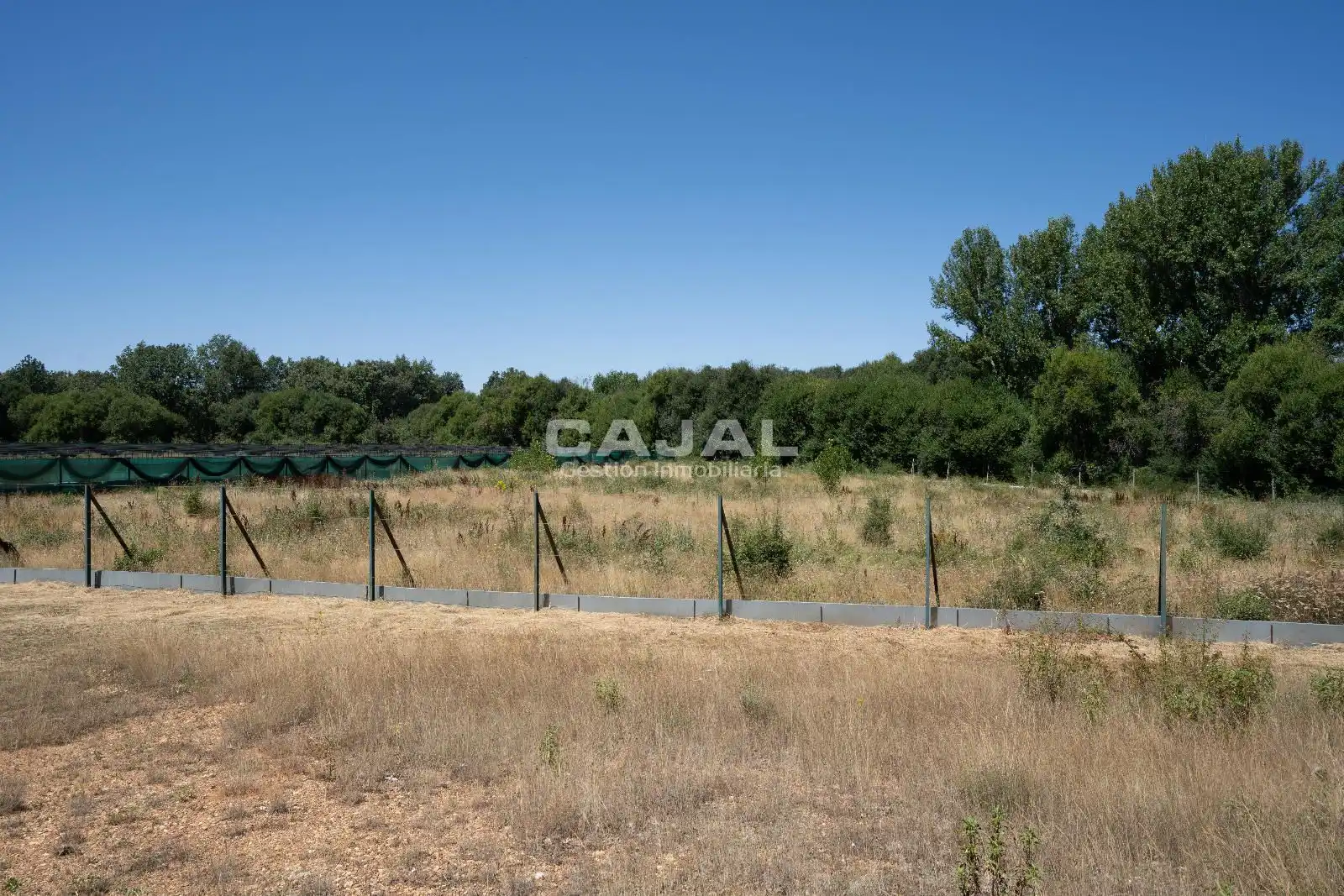 Terreno en venta en Fresno de Cantespino