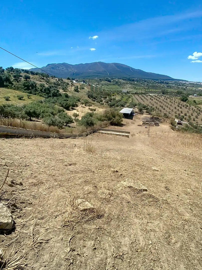 Terreni e lotti in vendita a Lugar el Quinto, 161, 29120 Alhaurín el Grande, Málaga, Spain, imagen 20