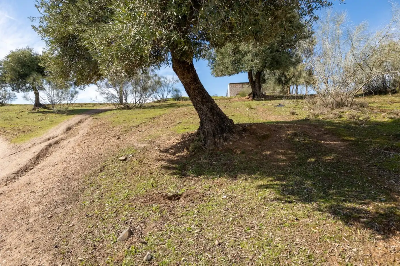 Country house for sale in Albaicín, imagen 37