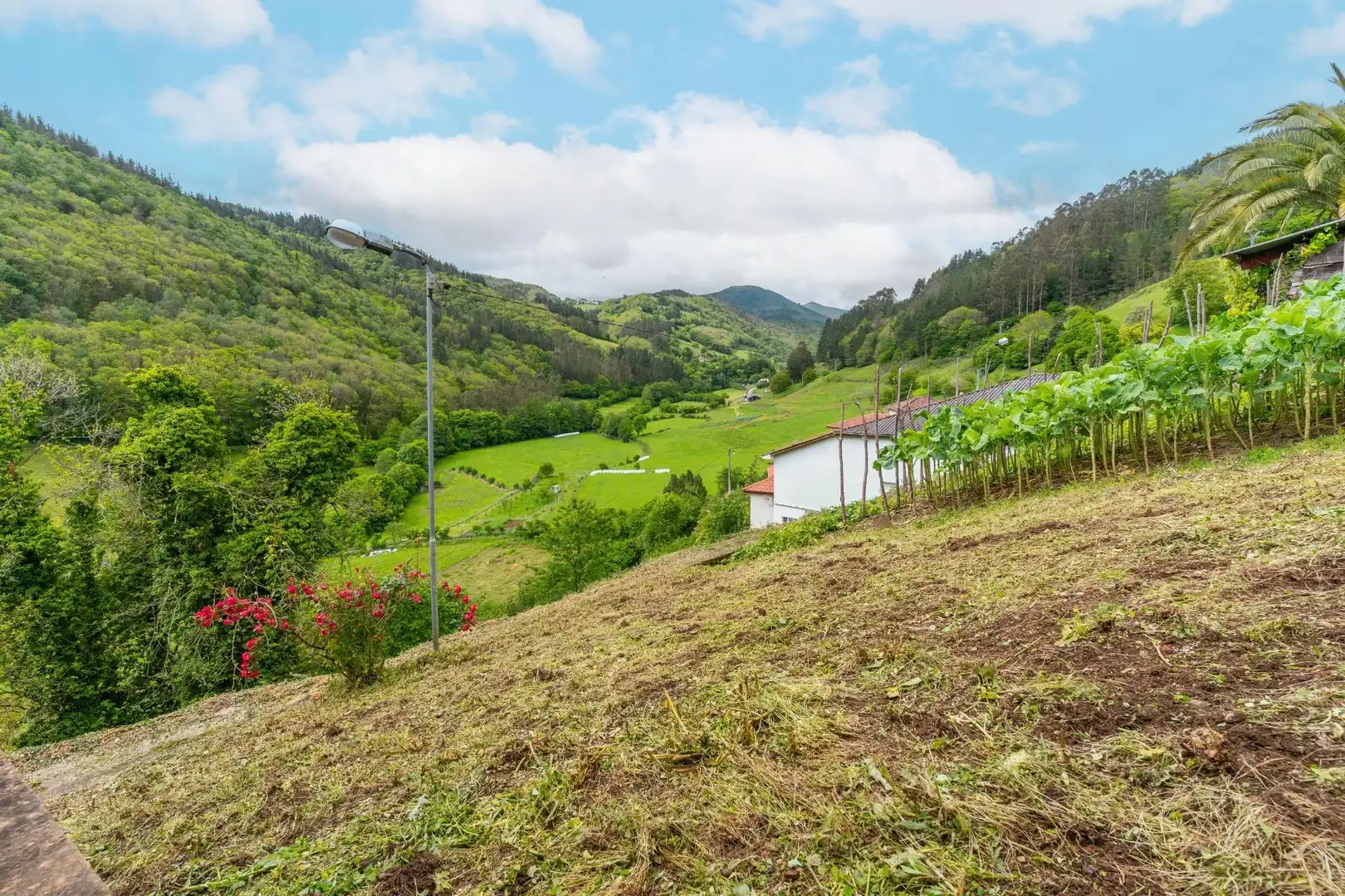 Casa o xalet en venda a RIOCASTIELLO, 28, Tineo