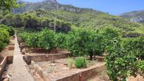 Jardí de Finca rústica en venda en Tavernes de la Valldigna