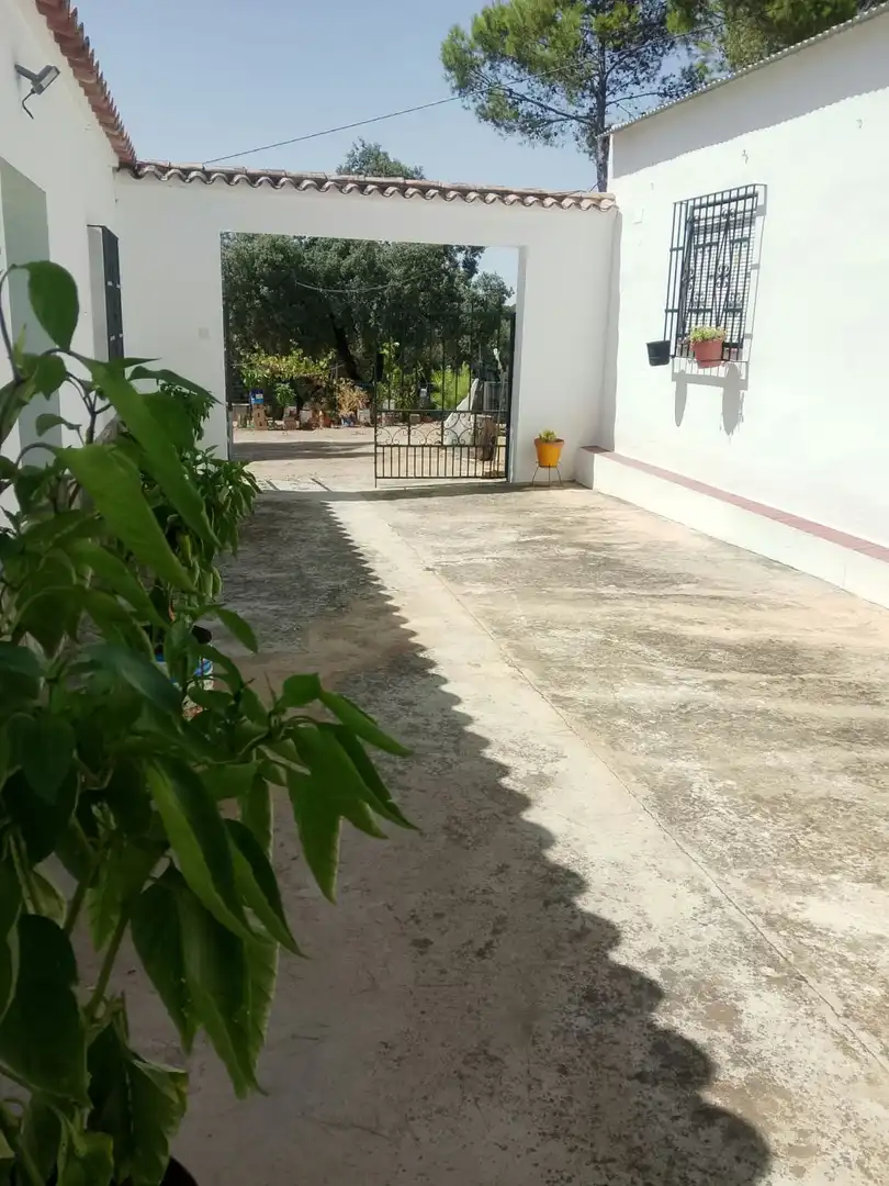 Casa rústica en venda a Prado del Rey, imagen 2