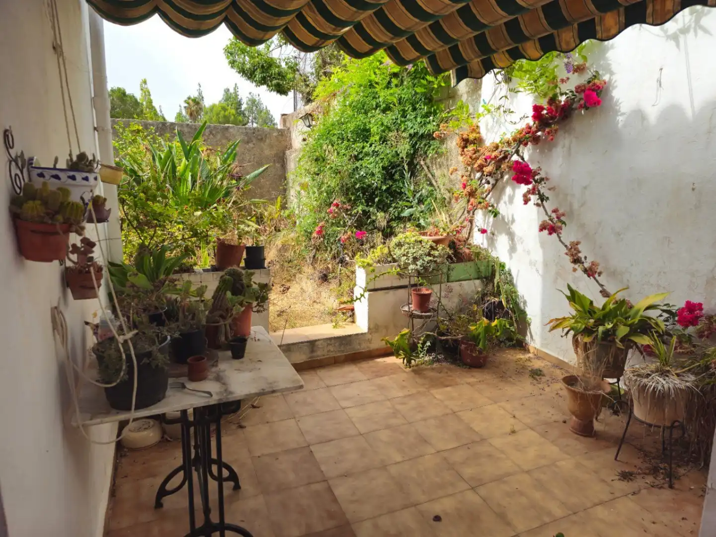 Garden of Country homes for sale in Sagra  with Terrace