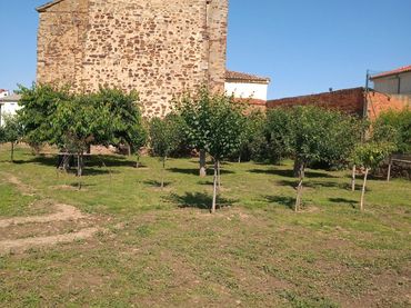 Residential land for sale in Plaza la Iglesia 2