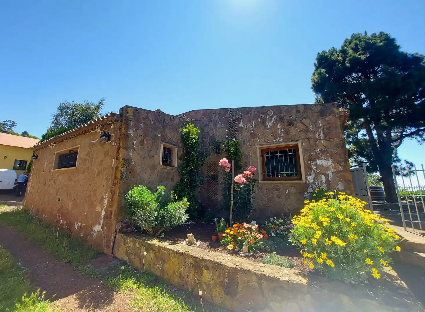 Vista exterior de Casa o xalet en venda en Tacoronte amb Jardí privat, Parquet i Terrassa