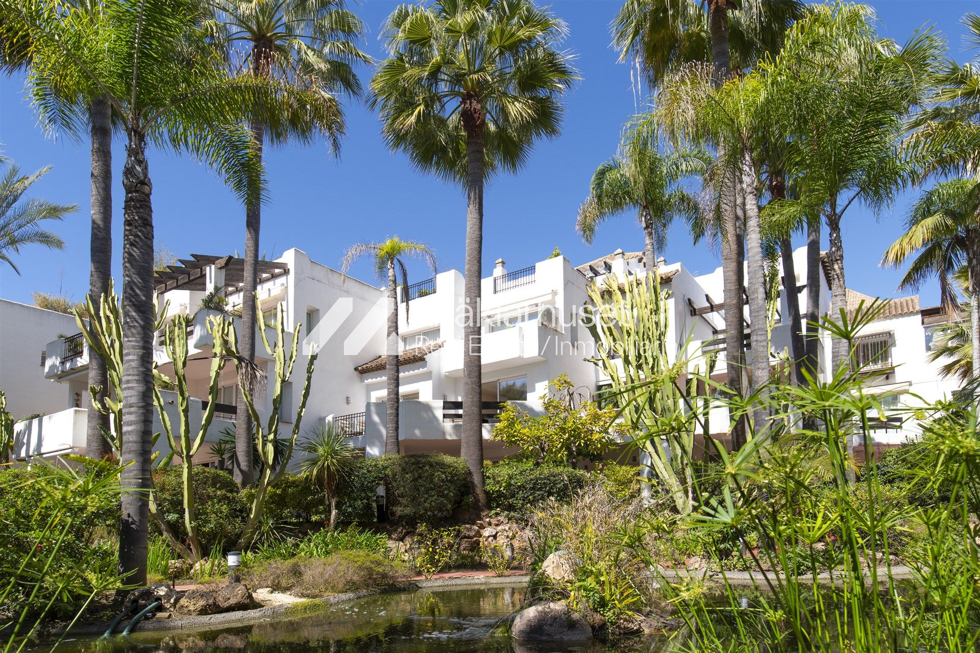 Vista exterior de Apartament en venda en Marbella amb Terrassa i Internet