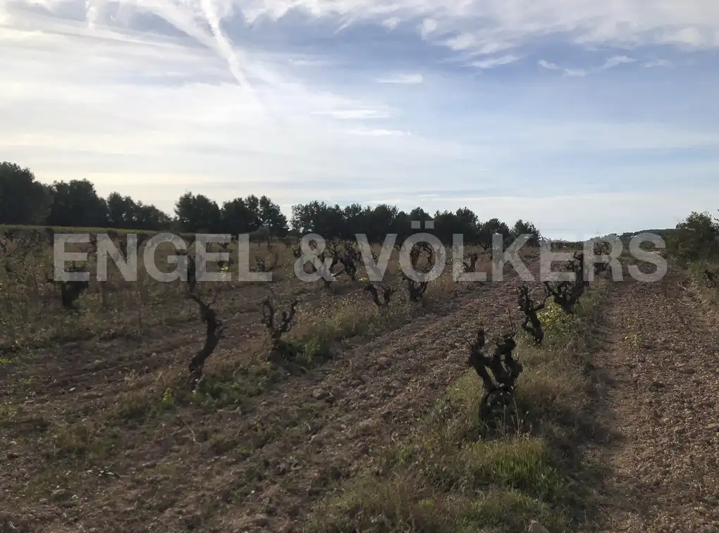 Terreny residencial en venda a Avinyonet del Penedès, imagen 2