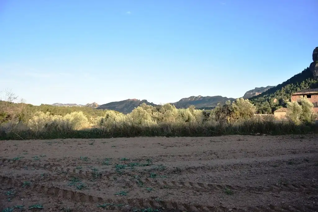 Rural land for sale in Horta de Sant Joan, imagen 3