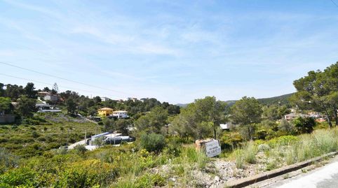 TERRENO BIEN ORIENTADO EN LES PALMERES, CANYELLES, immagine 4