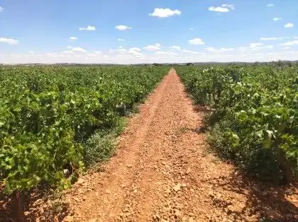 Terreni e lotti in vendita a Tarancón