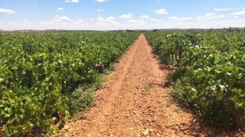 ¡Espectacular Finca Rústica de 634 Hectáreas en Tarancón¡