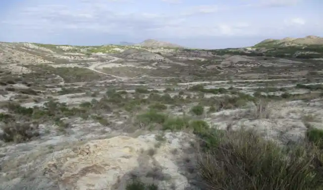 Terreno residenziale in vendita a Campo de Murcia, imagen 2