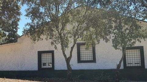 Foto 2 de Finca rústica en venda a Brazatortas, Ciudad Real