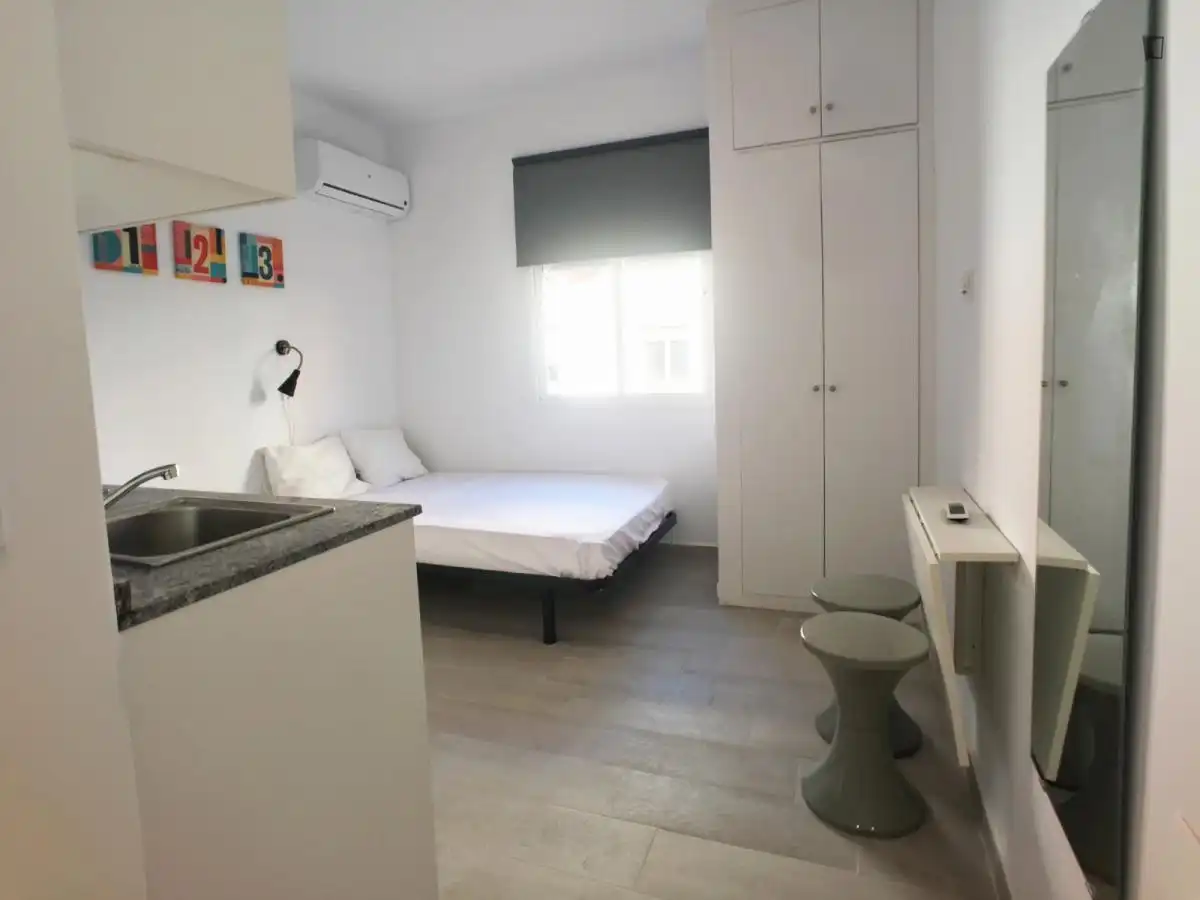 Estudio de alquiler en Pradolongo