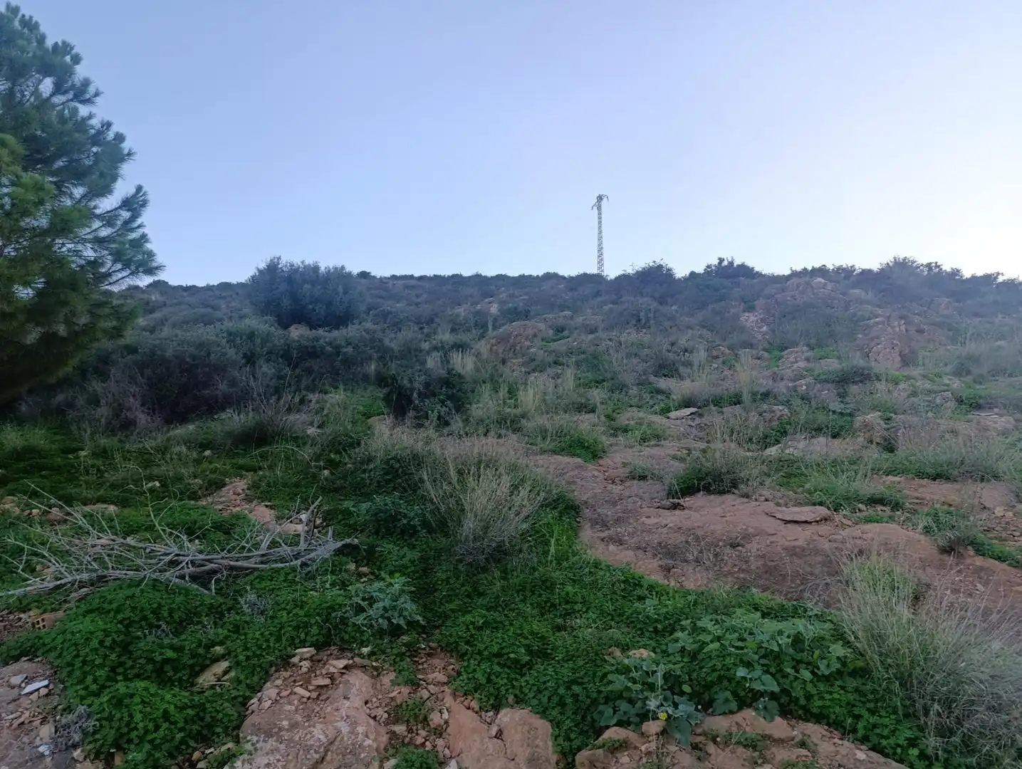 Residential land for sale in Calle PERONIÑO-BO CONCEPCION, imagen 20
