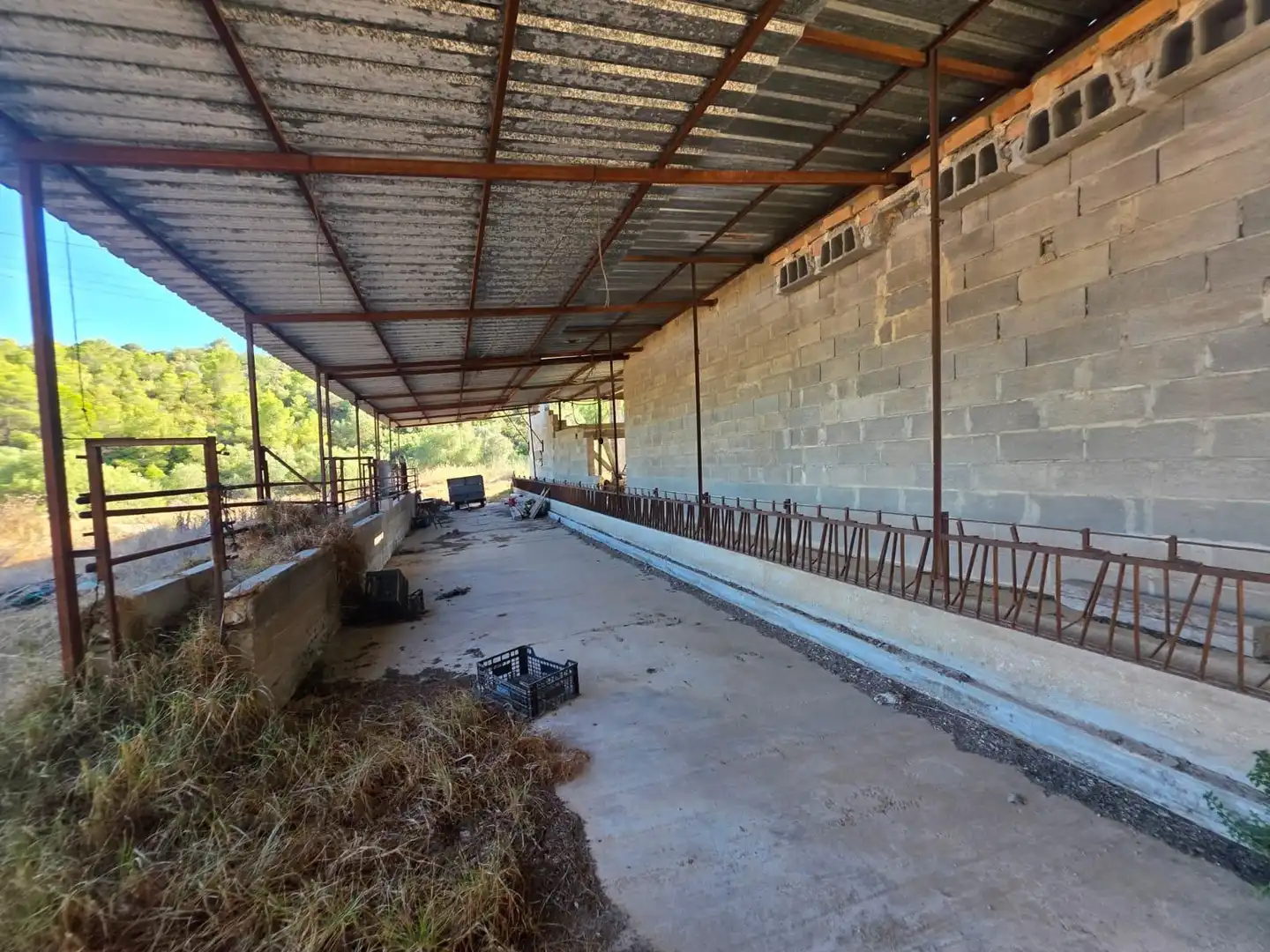 Terreno rustico in vendita a Grau - Quintanes, imagen 31