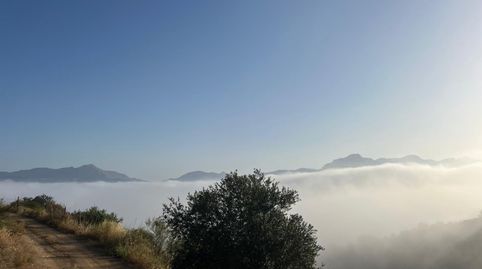 Foto 5 de Casa o chalet en venta en Camino Chorro, Casabermeja, Málaga