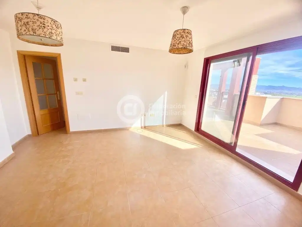 Penthouse with lift for sale in Puerto Lumbreras, imagen 6