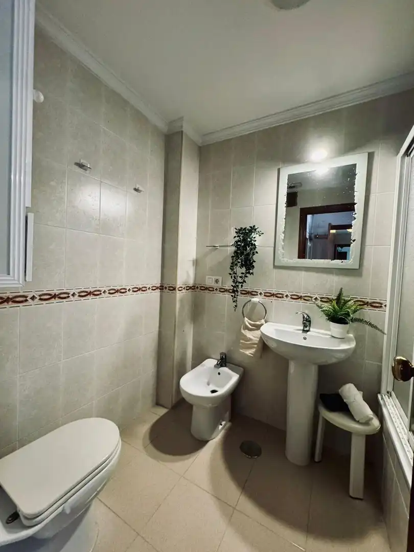 Appartement avec terrasse à vendre à Calle Ganado, imagen 21