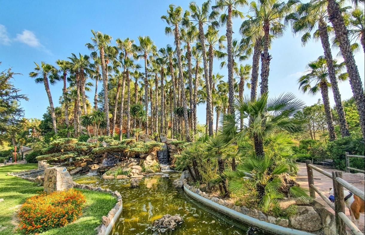 Garten von Wohnung zum verkauf in Albatera mit Balkon