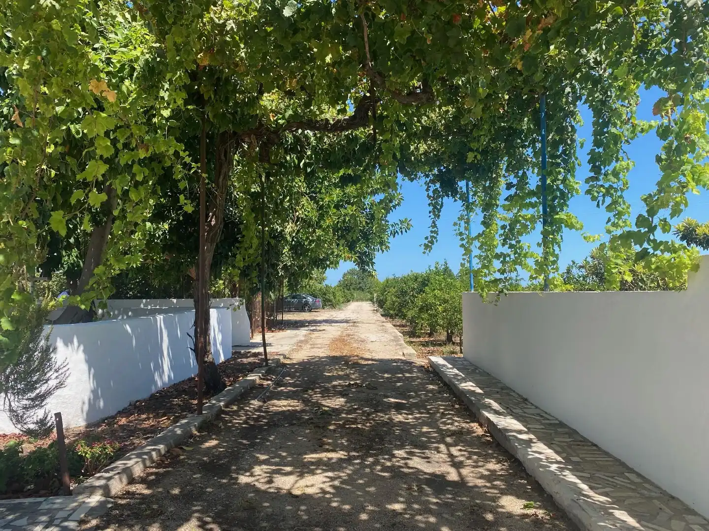Vista exterior de Casa o chalet en venta en Beniarjó con Jardín privado, Terraza y Piscina
