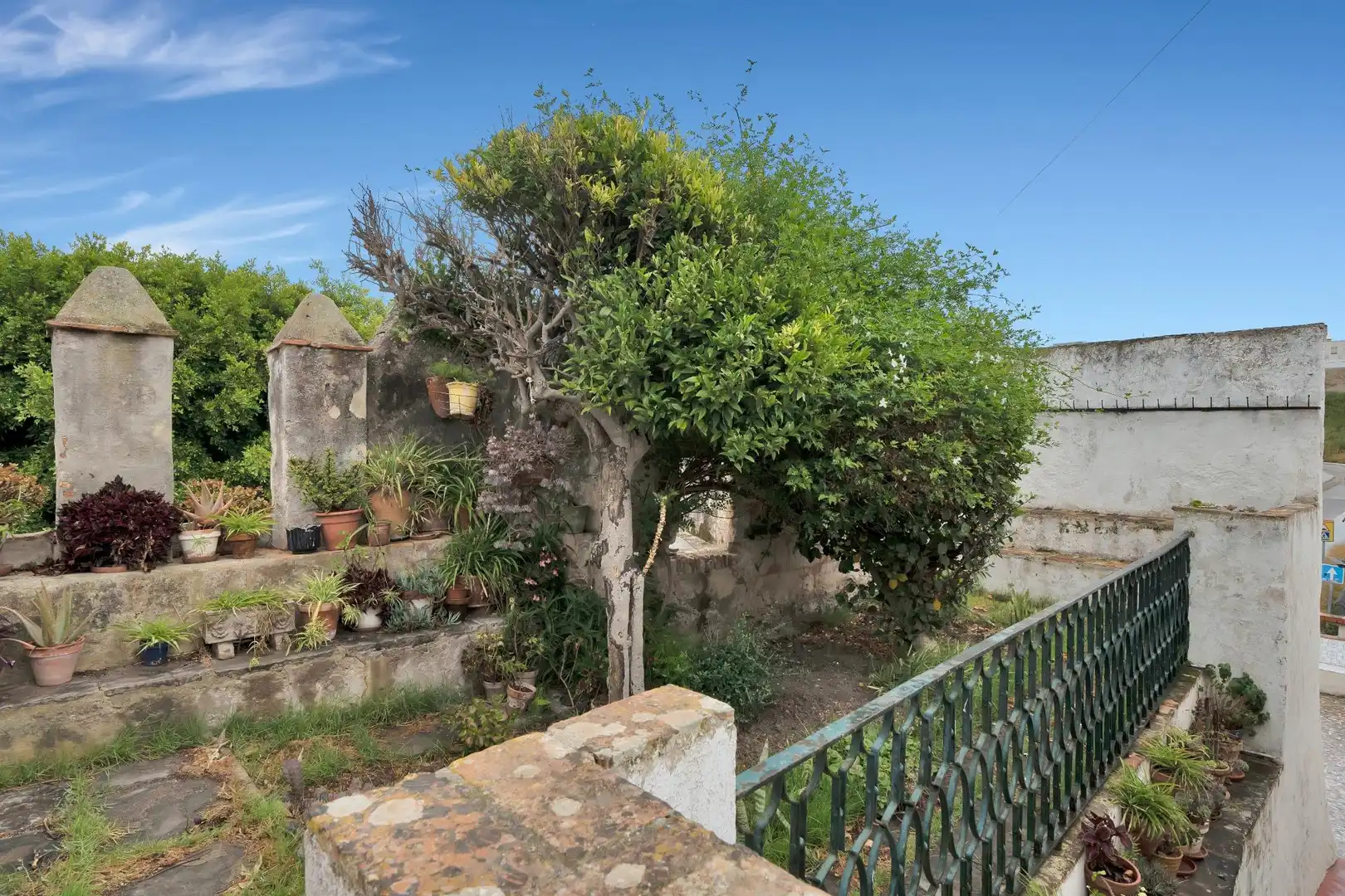 Garden of Houses for sale in Tarifa  with Terrace
