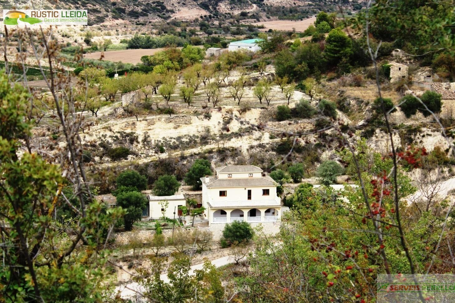 Casa o xalet en venda a Guimerà