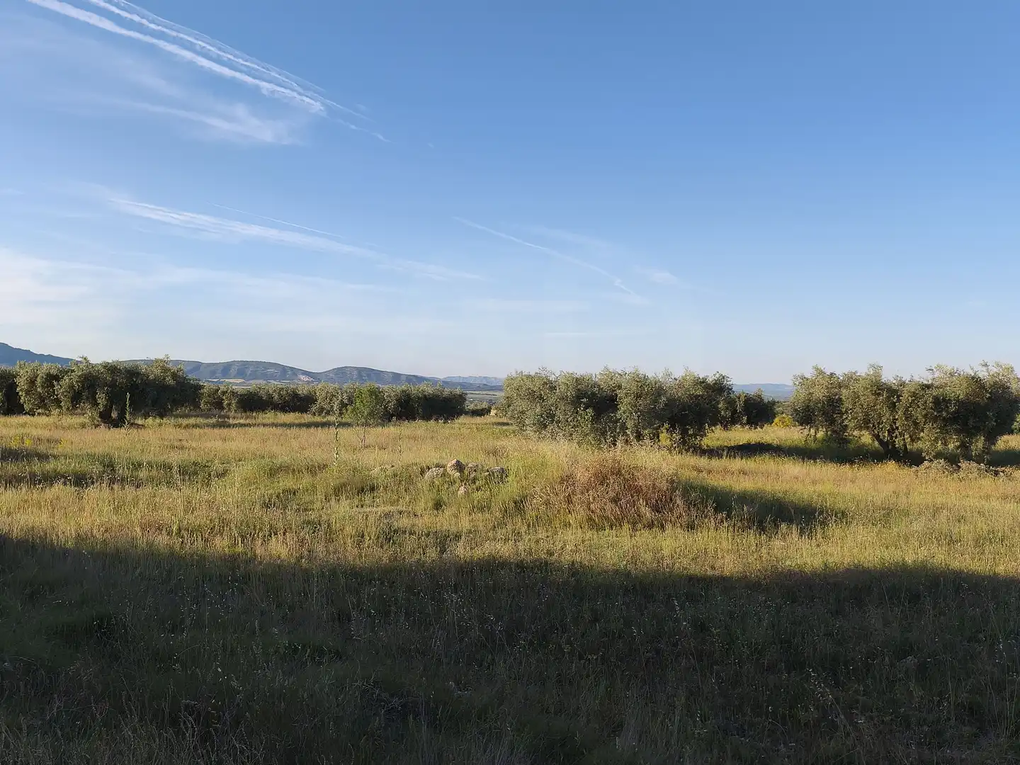 Terreno rustico in vendita a Moratalla, imagen 12