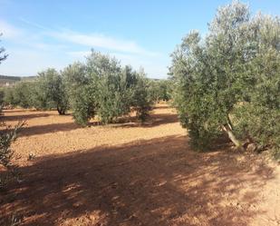 Finca rústica en venda en Valdepeñas