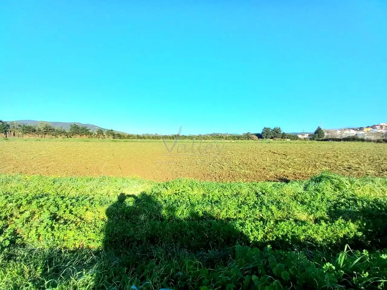 Terreni e lotti in vendita a San Enrique - Guadiaro -  Pueblo Nuevo, imagen 6