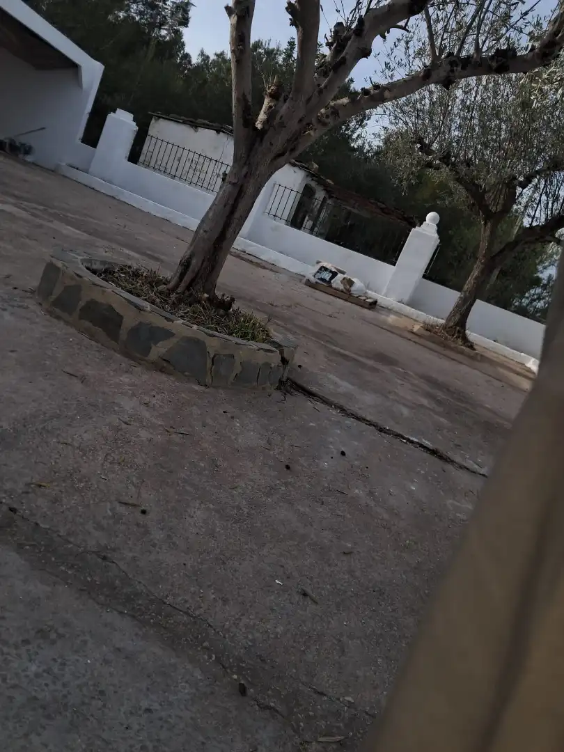 Exterior view of Houses for sale in Real  with Private garden, Terrace and Swimming Pool