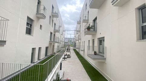 Photo 4 of Flat for rent in Calle Cocotero, 6, Siete Palmas, Las Palmas de Gran Canaria