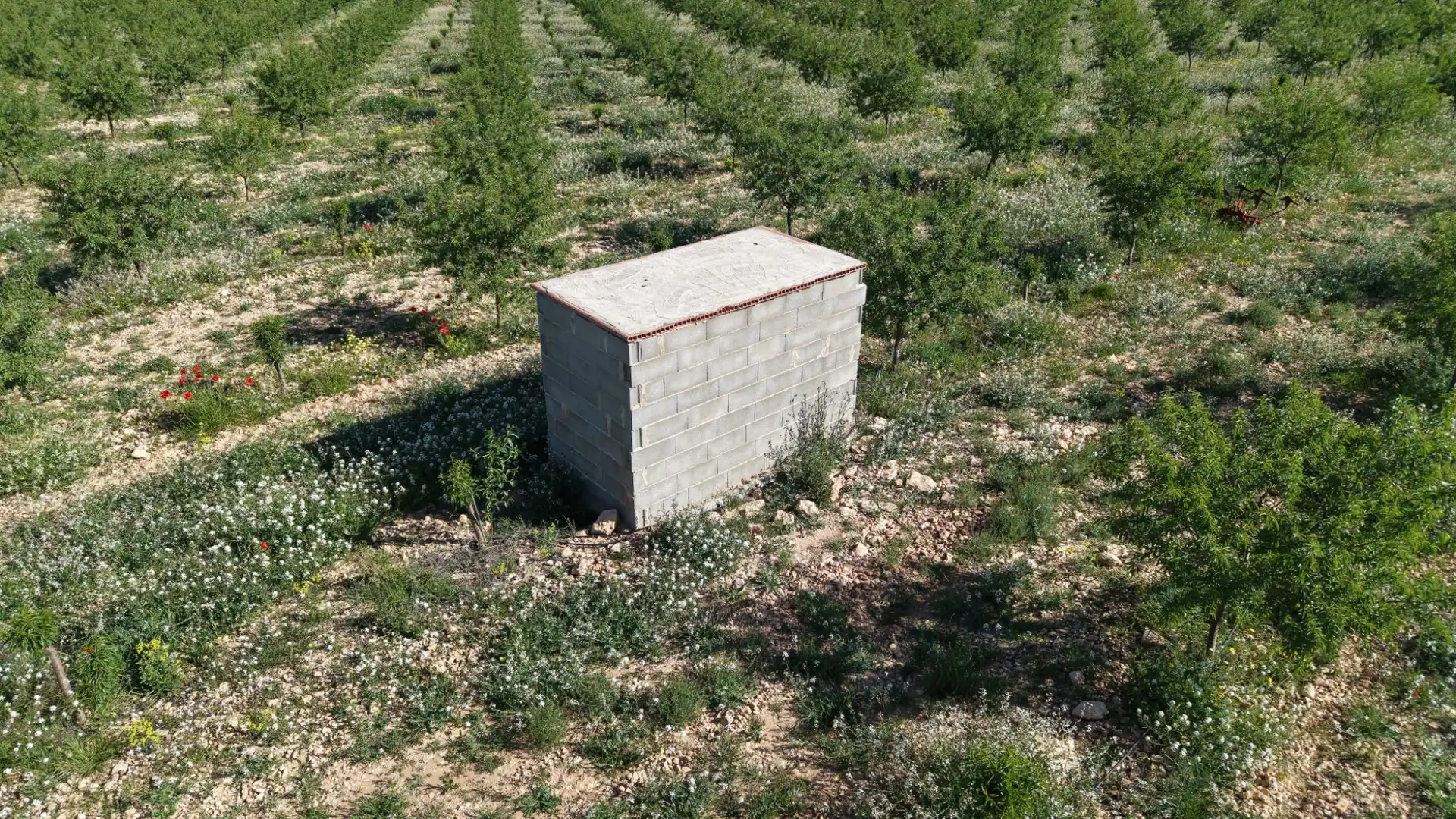 Residential land for sale in Yecla, imagen 7