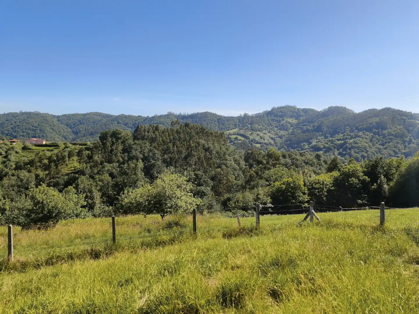 Casa o chalet en venta en Villaviciosa con Trastero y Balcón