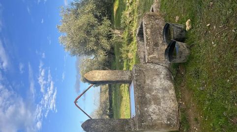 Foto 4 de Finca rústica en venta en Calle Iglesia, 6, Segura de León, Badajoz