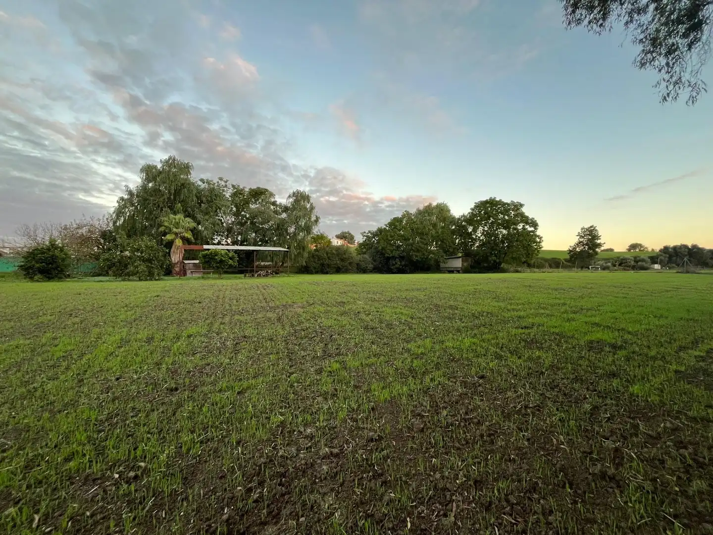 Terreno en venta en Jerez de la Frontera