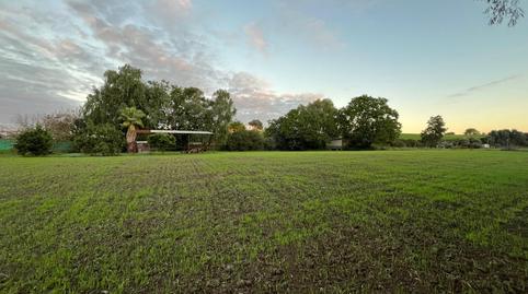 Photo 3 of Land for sale in Parque Atlántico - Ronda este, Cádiz