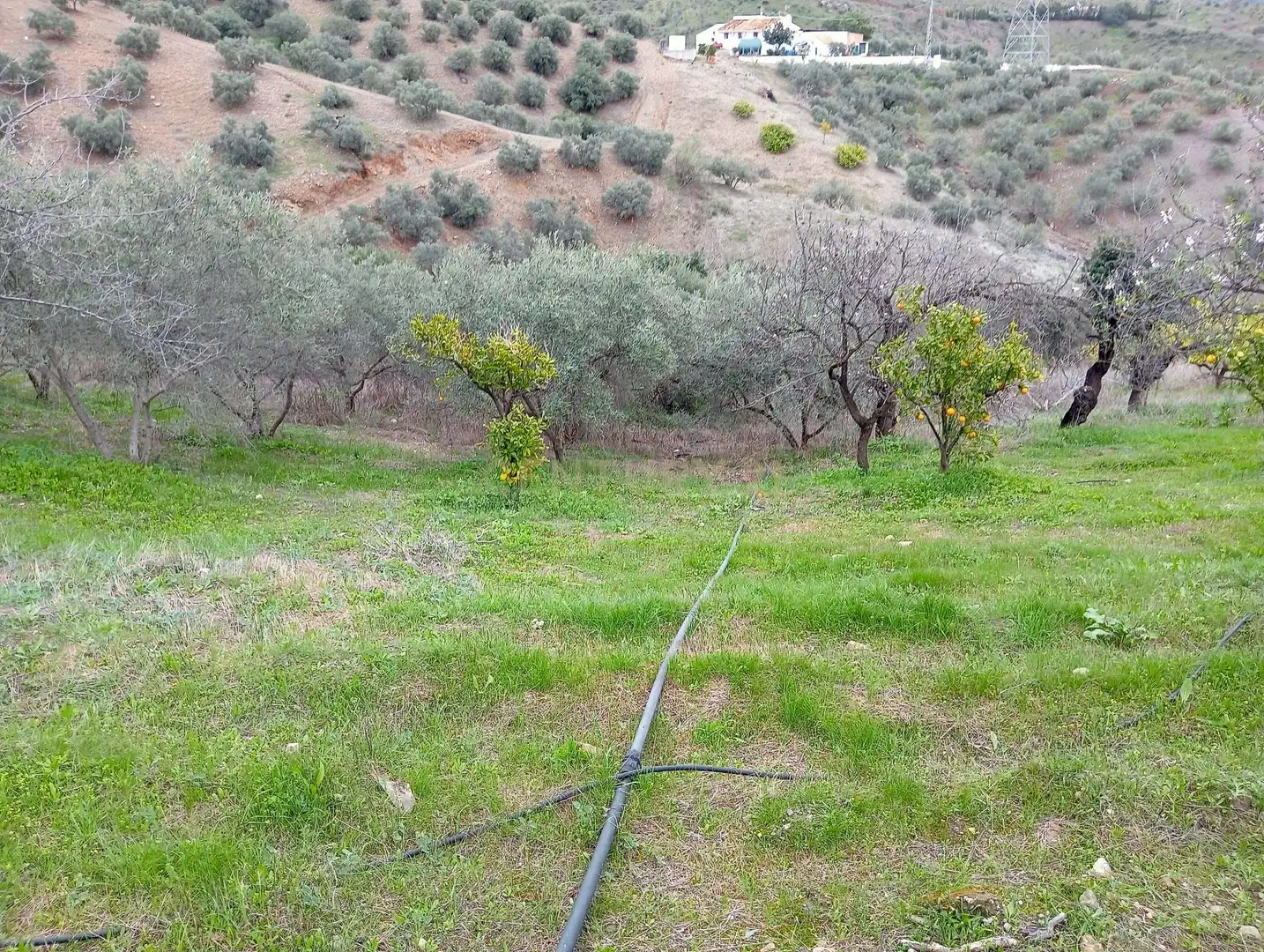 Casa o xalet en venda en Cártama amb Jardí privat, Traster i Piscina