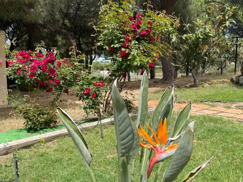 Jardín de Piso en venta en Isla Cristina con Aire acondicionado, Jardín privado y Trastero