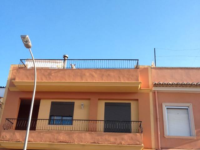 Local comercial en Alquiler en Carrer de Carlos Gomis, 41 en Carcaixent