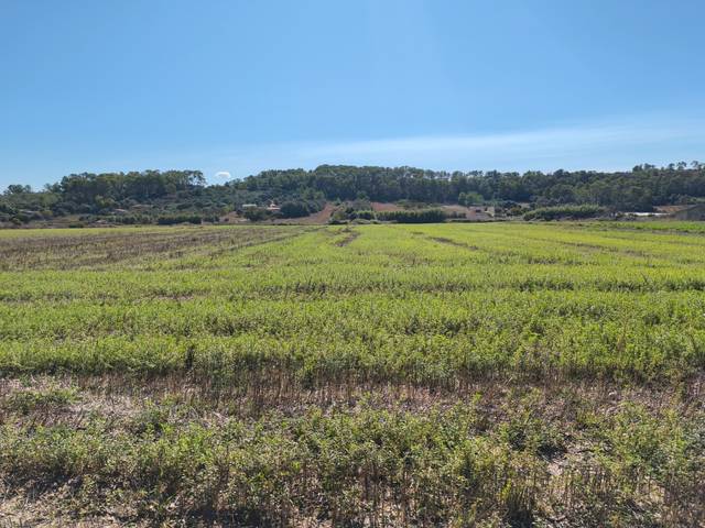 Terreno en Venta en Sant Joan